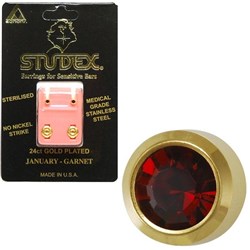 Birthstone Studs - Mini Bezel Gold - January / Garnet